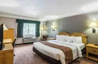 FairBridge Inn Express Buffalo - Wifi