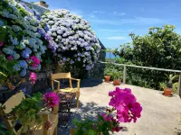 Private Stone Villa Rental with Sea View in the Azores Hotels near Work from home and Protection Northeast Girls' Youth