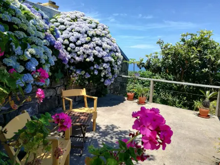 Private Stone Villa Rental with Sea View in the Azores Отели в г. Nordeste