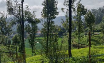 Sanctuary Boutique Hotel Ooty
