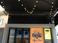 Sleep Owl Hostel Hotels near مطار دون موينغ