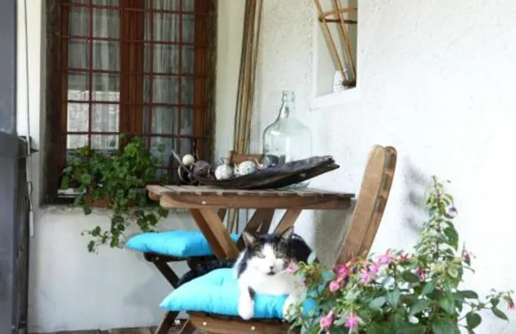 塞克與艾薇塔公寓