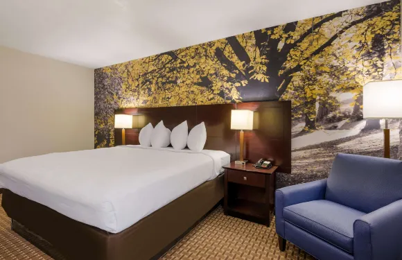 希爾頓Spark阿賓登島I-81近展覽場