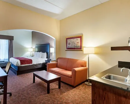 Comfort Suites Dulles Airport Отели в г. Шантильи