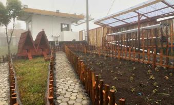 Swarga Lodge and Homestay - Housity