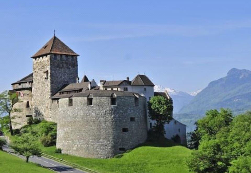 a castle - like building with a tower is surrounded by a green lawn and mountains in the background at Residence Hotel
