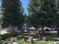 Lone Pine Cabins Hotels in Grand Lake
