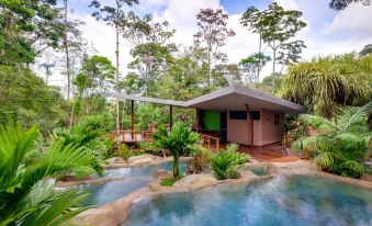 Chachagua Rainforest Hotel & Hot Springs