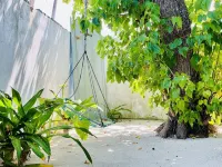 마디 피놀루 게스트하우스 Dharavandhoo Island 호텔