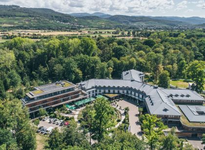 Dorint Thermenhotel Freiburg