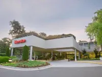 Sheraton Chapel Hill Hotel Hotels near Davie Courtyard