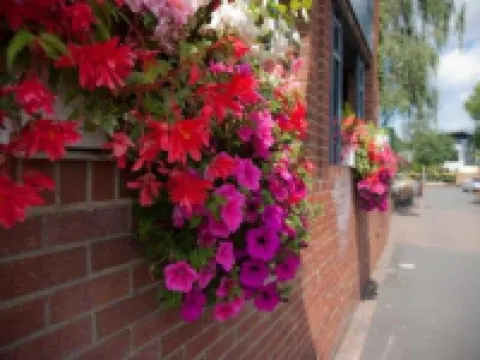 亞歷山大教皇酒店 里士滿酒店