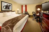 Drury Inn & Suites St Joseph - 3-Star