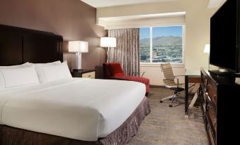 DoubleTree by Hilton Hotel El Paso Downtown