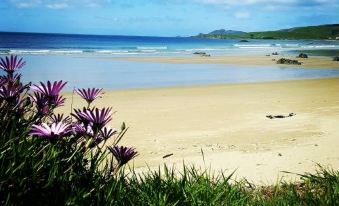 Kaka Point Spa Accommodation - Catlins