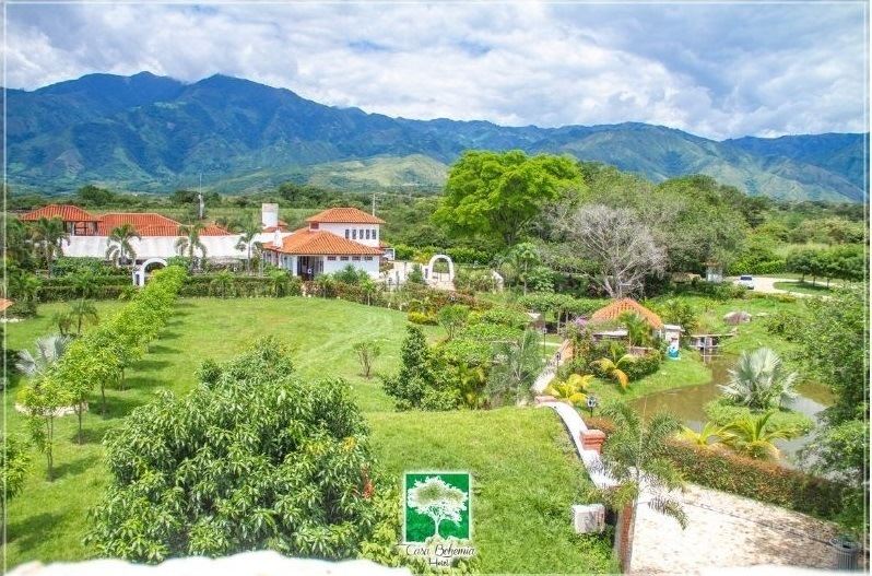 a lush green field with a variety of flowers and trees , surrounded by mountains in the background at Casa Bohemia