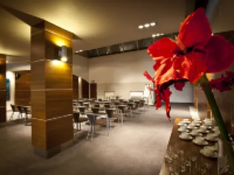 B&B HOTEL Tychy Hotels in Tychy