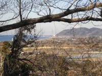 Tea Trees Hotels in Tateyama