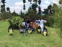 Davinci Gorilla Lodge Hotels in 