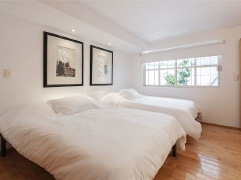 Lovely Apartment Ahuehuetes