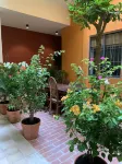 Chi Hieu Homestay