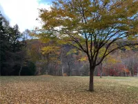 Polar House Minami Karuizawa 1 Hotels in Shimonita