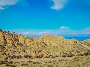 Feel Nomad Yurt Camp