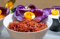 ネルハ クラブ バイ ドロベ ホテルズ