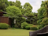 Wajoen