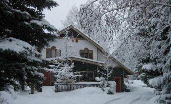 Golden Dreams B&B - Housity