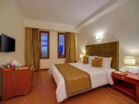 ロイヤル サロヴァー ポーティコ シリグリ シリグリのホテル