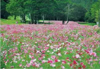 Pension Mori No Symphony Hotels in Shinano