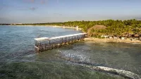 El Dorado Seaside Suites Catamarán, Cenote & More Inclusive