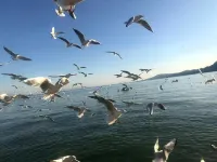 Kunming Passing Clouds Hostel (Nanping Street)