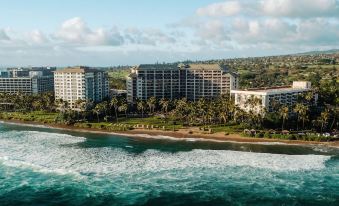 7. Hyatt Va..