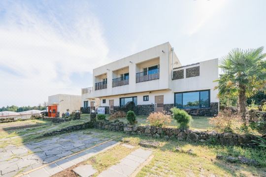 서귀포 가시리유채꽃길펜션