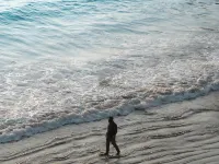 Fort Tiracol Goa Hotels in Niravade