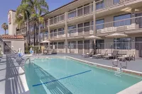 Best Western Plus Executive Inn - Romantic