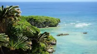 Sea Turtle View Cottage (Okinoerabu Island) Hotels in Wadomari