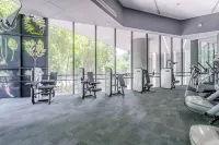 Reforma 284的現代公寓