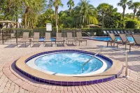 Sheraton Vistana Resort Villas, Lake Buena Vista/Orlando - Hot Springs