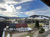 Schwarzwaldblick II