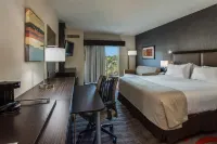 Holiday Inn Express & Suites Naples Downtown - 5TH Avenue