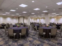 麥迪遜市中心希爾頓逸林酒店 鄰近布里廷厄姆公園的酒店