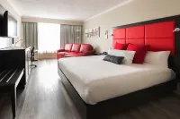 Hotel Universel Alma - Wifi