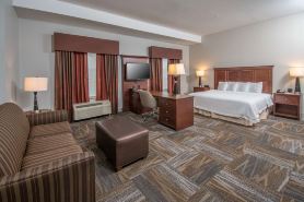 Hampton Inn & Suites Selma-San Antonio-Randolph AFB Texas