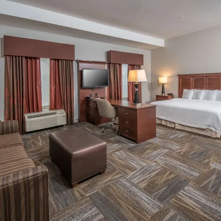 Hampton Inn & Suites Selma-San Antonio-Randolph AFB Texas