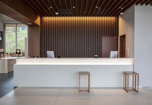 호텔 나라 사쿠라이 노 사토의 고급스러운 객실 또는 전경