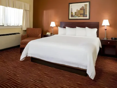 ザ・ボストン・ホテル ハーバード・スタジアム周辺のホテル