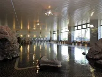 Hotel Yumoto Hotels in Uonuma